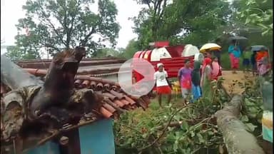 लोहरदगा: आनन्दपुर में 100 साल पुराना बरगद का पेड़ गिरा, मवेशी और ग्रामीण बाल-बाल बचे, सड़क बाधित