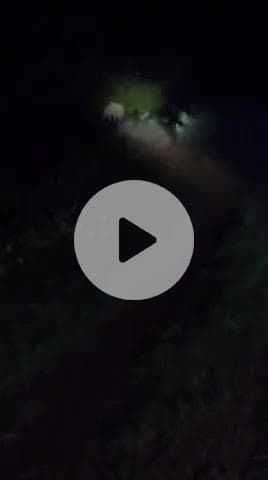 ବାଣପୁର: ଶୂଳିଆ ନିକଟରେ ଦନ୍ତା. ଲୋକେ ଆତଙ୍କିତ.