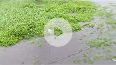 बेरमो: फुसरो में लगातार बारिश के बाद जल जमाव, लोगों को आने-जाने में हुई परेशानी