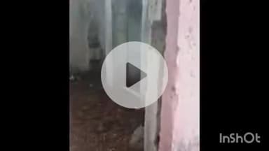 नरसिंहगढ़: आम आदमी पार्टी के जिलाध्यक्ष वी टीम ने शाका शामजी में एकीकृत माध्यमिक विद्यालय का निरीक्षण किया