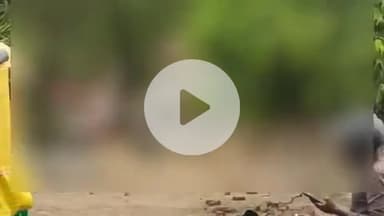 प्रतापगढ़: शिशौरा गांव से युवती हुई गायब, थाने पर दी गई गुमशुदगी की तहरीर