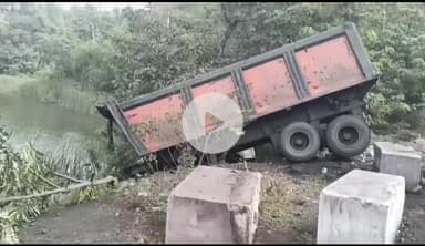 सिंगरौली: मुड़वानी डैम के पास अनियंत्रित ट्रेलर पेड़ से टकराया, चालक बाल-बाल बचा