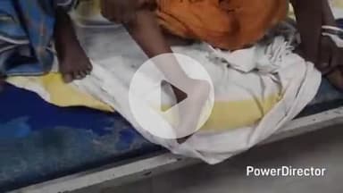 कटिहार: केवटिया में घर में काम करते समय महिला को जहरीले सांप ने काटा, अस्पताल में भर्ती