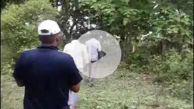 खालवा: खालवा क्षेत्र में जंगली सूअर के हमले के बाद वन विभाग की टीम जांच में जुटी