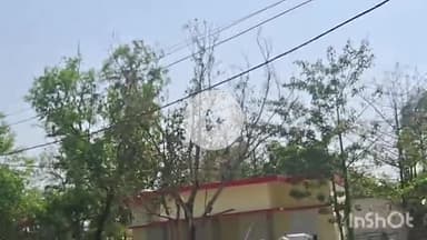 चरपोखरी: चरपोखरी में वार्ड सदस्य के एक उम्मीदवार ने किया नामांकन, खुला खाता