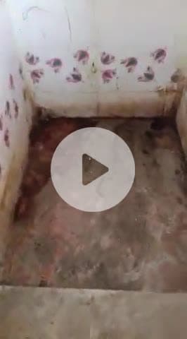 garu awashiya vidyalaya me 2 warsho se shouchalay kharab ho Gaya hai bacchon ko Hui pareshani