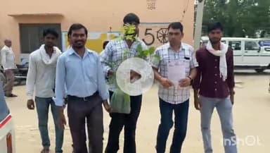 चूरू: शहर में अव्यवस्थाओं को लेकर हरा पौधा भेंट कर ज्ञापन दिया, जिला कलक्टर अभिषेक सुराणा को आईटी केंद्र में