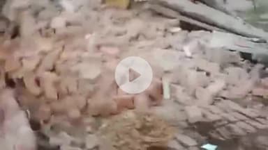 रामपुर: मदारपुर गांव में 40 साल पुराना कच्चा मकान गिरा, मलबे में 1 दंपति और 2 पालतू जानवर घायल, दंपति को अस्पताल में भर्ती किया गया