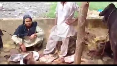 बड़ौत: टीकरी में 2 मुंह और 3 आंखों वाले बछड़े ने लिया जन्म, वीडियो सोशल मीडिया पर हुआ वायरल