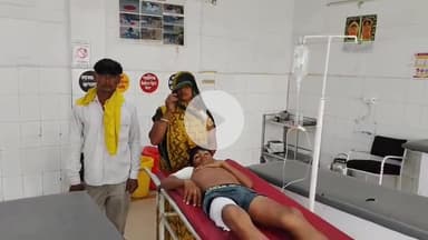 इटावा: बढ़पुरा इलाके के चंबल नदी में नहाते समय किशोर पर मगरमच्छ ने किया हमला, दोस्तों की मदद से बची जान, जिला अस्पताल में भर्ती