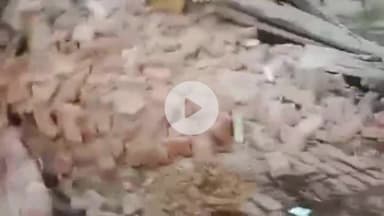 रामपुर: मदारपुर गांव में 40 साल पुराना कच्चा मकान गिरा, मलबे में दबकर दंपति और 2 पालतू जानवर घायल