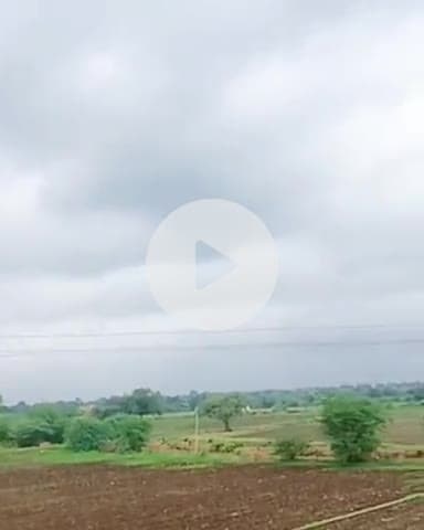 खरगौन: मानसून की सक्रियता से कपास की बुवाई में आई तेजी, जिले में 75% बुवाई पूरी