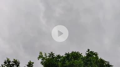 ठाकुरगंज पौआखाली का मौसम.....
#किशनगंज