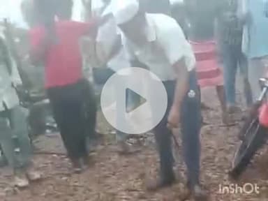 श्योपुर: चेनपुरा बस्ती में सर्पदंश से सो रही महिला की मौत, कोतवाली थाने में मर्ग कायम, सांप पकड़ने चला रेस्क्यू