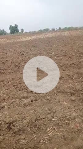 किसानों का कहना है कि बिन पानी की फसल बहुत ही सही होती हैं।