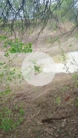 हर तरफ नदी की एक ही हालत हे कि वो इतनी पुर गई है कि जलस्तर कम हो गया है।