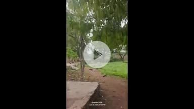 धार: नौगांव थाना क्षेत्र के हाथीथान में ज़मीन के विवाद में दो पक्षों में जमकर विवाद, चले पत्थर