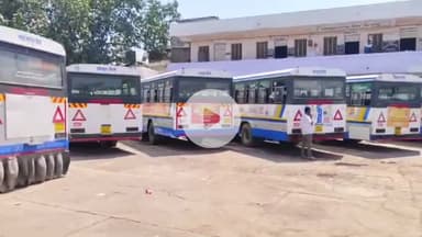 धौलपुर: जिले में रोडवेज बसों में विशेष चेकिंग अभियान चलाया गया, बिना टिकट यात्रा कर रहे 4 यात्रियों से वसूला गया जुर्माना