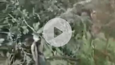 बल्दीराय: बिनगी ग्राम पंचायत में झाड़ियों के बीच लगी पानी की टोटी, पानी हो रहा है बर्बाद, जिम्मेदार बने मौन