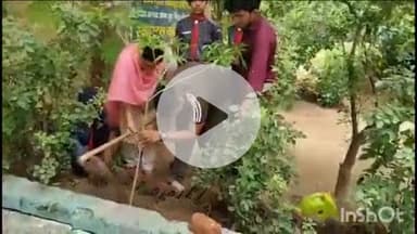 भिवानी: चंद्रशेखर आजाद ओपन ग्रुप कार्यालय में राष्ट्रपति जी के जन्मदिवस पर लगाया गया पौधा