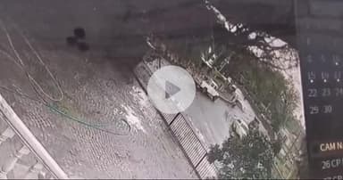 ग्वालियर गिर्द: ग्वालियर: अचलेश्वर चौराहे पर चलती कार पर गिरा पेड़, सीसीटीवी वीडियो आया सामने