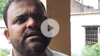 डंडारी: डंडारी प्रखंड में तीन बकरी वितरण योजना के तहत लाभुकों को बकरियां वितरित की गईं