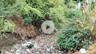 गरौठा: ग्राम सुट्टा में बिजली व साफ सफाई से परेशान ग्रामीण #jansamasya