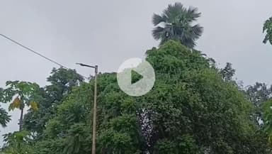 हज़ारीबाग: उपायुक्त ने बारिश और ओलावृष्टि को लेकर अधिकारियों को अलर्ट रहने के निर्देश दिए