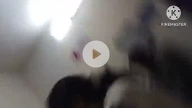 पथरिया: प्रैक्टिस पर आई डॉक्टर पिता के मेडिकल पर भिजवा रही सरकारी पर्चा, पहले भी पड़ चुका है छापा