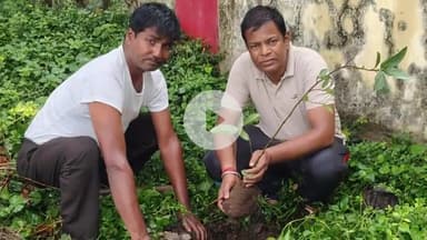 चांद: चांद नगर के शासकीय संस्थानों में हुआ पौधारोपण, 50 पौधे लगाए गए