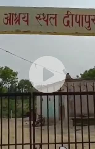 नरवल: दीपापुर गौशाला में गोवंश की स्थिति चिंताजनक, पिछले 15 दिनों से हरे चारे की नहीं हुई आपूर्ति