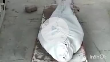 गभाना: गभाना में तेज रफ्तार बाइक अनियंत्रित होकर डिवाइडर से टकराई, हादसे में महिला की मौत, परिजनों ने नहीं कराया PM