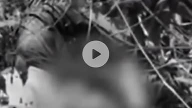 इंदौर: राजा हत्याकांड: पत्नी सोनम के समलैंगिक होने का दावा, हत्या में सहेली के शामिल होने की आशंका