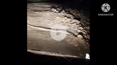 जीरन: पालसोड़ा: रेतम नदी के पास दिखा 8 फीट लंबा अजगर