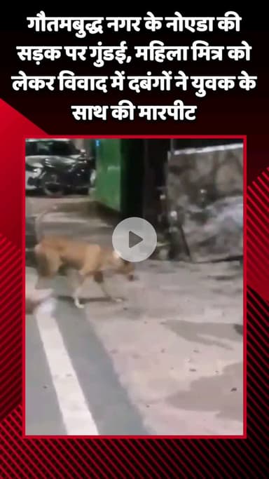 गौतम बुद्ध नगर: गौतमबुद्ध नगर के नोएडा की सड़क पर गुंडई, महिला मित्र को लेकर विवाद में दबंगों ने युवक के साथ की मारपीट