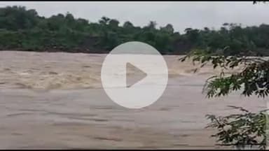 बेरमो: लगातार बारिश से तेनुघाट डैम के 10 रेडियल गेट खोले गए