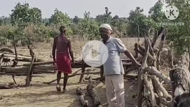 बटियागढ़: वन विभाग की टीम ने ग्राम सेमरा में वन भूमि से हटाया अवैध अतिक्रमण