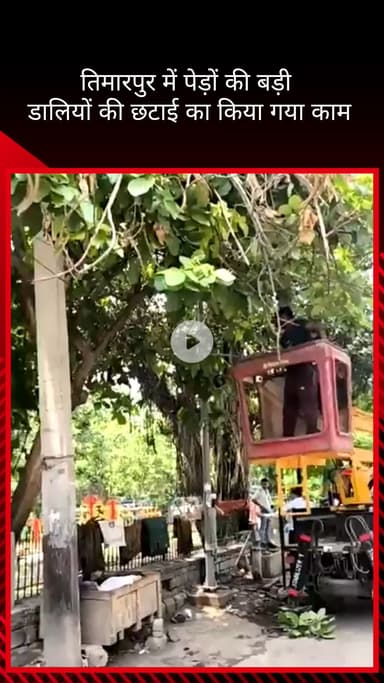सिविल लाइन्स: तिमारपुर विधानसभा में निगम ने पेड़ों की बढ़ी डालियों की छंटाई का किया काम
