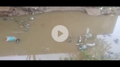 इटावा: सारंगपुरा में जल भराव की समस्या को लेकर ग्रामीणों ने कलेक्ट्रेट परिसर में डीएम को दिया शिकायती प्राथना पत्र।#jansamasya