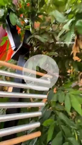 #नीमकरौरीधामइंदौर 
#neemkarolimaharajji #neemkarolibabaashramtaos #neemkarolibaba❤️ #neemkarolibabaquotes #today
#neemkarolimaharajji #neemkarolibabaashramtaos #neemkarolibaba❤️ #neemkarolibabaquotes #today