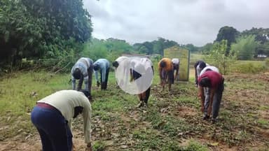 चान्हो: चान्हो प्रखंड क्षेत्र के विभिन्न स्थानों पर अंतर्राष्ट्रीय योग दिवस उत्साहपूर्वक मनाया गया