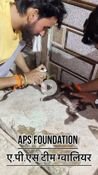 बहुत छोटा बच्चा था 🥺…

Respect girls help poor help animals 

#apsgurjar #dog #dogslife #gwalior