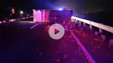 रामगंजमण्डी: बांस्याहेड़ी में हाइवे पर मृत पड़ी भैंस से टकराकर पलटी टमाटर से भरी पिकअप, दो लोग घायल