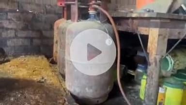 इटावा: कृष्णापुरम कॉलोनी में घर में तख्त के नीचे कोबरा नागिन घुसने से परिवार में दहशत, सर्प मित्र ने किया रेस्क्यू