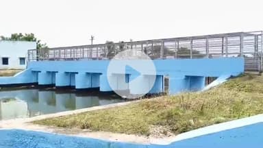 திருக்குவளை: கடைமடையான நாகை வந்து சேர்ந்த காவிரி நீர்: திருக்குவளை ஏர்வைக்காடு  கதவணை பகுதிக்கு வந்து சேர்ந்த காவிரி நீர் நெல் மணி கள் பூக்கள் தூவி வரவேற்ப்பு
