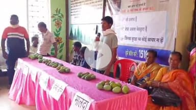 इटकी: इटकी प्रखंड मुख्यालय में आम बागवानी महोत्सव का आयोजन, तीन किसान सम्मानित