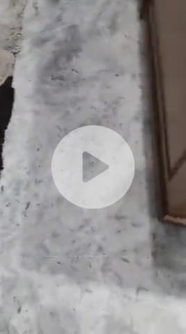 सोशल मीडिया पर वायरल वीडियो जिसमें महिला प्राचार्य को कुछ कहती हुई।बताया जाता है कि इस महिला से बड़े नेता भी डरते