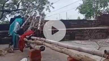 सहजनवा: मिनवा गांव में हाईटेंशन तार की चपेट में आने से बकरी की हुई मौत, पहले एक वृद्ध की मौत और किशोरी का भी हाथ कटा