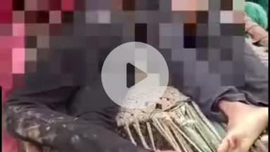 जयसिंहपुर: सेमरी चौकी क्षेत्र में अज्ञात डंपर की चपेट में आने से एक व्यक्ति की हुई मौत, दो का चल रहा है इलाज