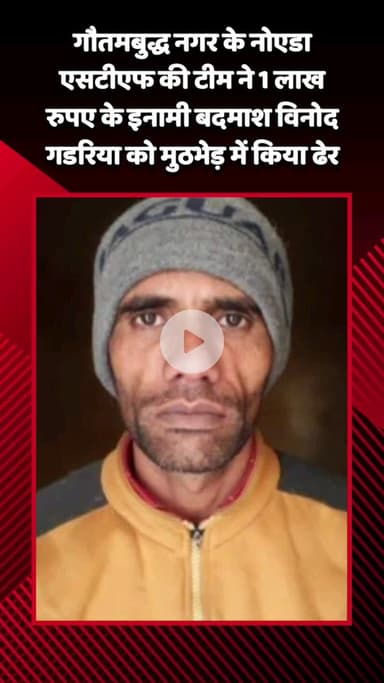 गौतम बुद्ध नगर: गौतमबुद्ध नगर के नोएडा में एसटीएफ की टीम ने 1 लाख रुपए के इनामी बदमाश विनोद गडरिया को मुठभेड़ में ढेर किया